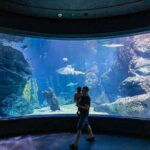 SEA LIFE Bangkok Ocean World Tickets - Final Thoughts