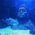 Sea Life Bangkok Ocean World Tickets - What the Reviewers Say