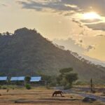 Sea to Summit Trekking Adventure on Mount Agung - How the Day Unfolds