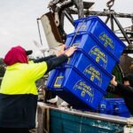 Seafood Discovery Class at Sydney Seafood School - Is It Worth the Price?