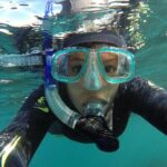 Seal Swimming Tour from Kaikoura - Why This Tour Excels: From the Perspective of Past Travelers