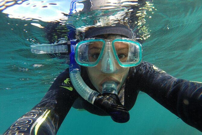 Seal Swimming Tour from Kaikoura - Why This Tour Excels: From the Perspective of Past Travelers