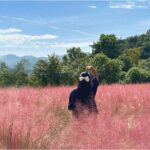 Seasonal Pocheon Full Day Tour with Apple Farm Experience - Practical Details and Tips