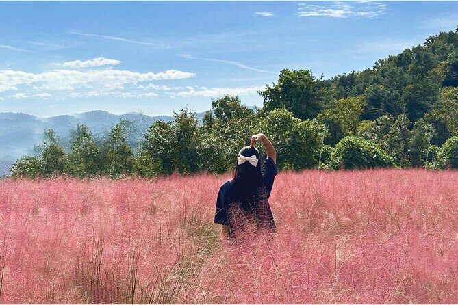 Seasonal Pocheon Full Day Tour with Apple Farm Experience - Practical Details and Tips