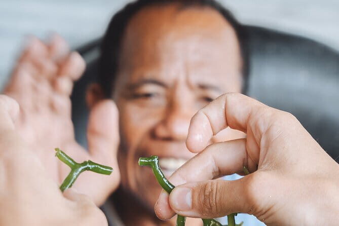 Seaweed Farming Activity and Sightseeing at Diamond Beach - The Scenic Highlight: Diamond Beach & Beyond