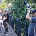 Sedim Rainforest and Canopy Walk - The Practical Side