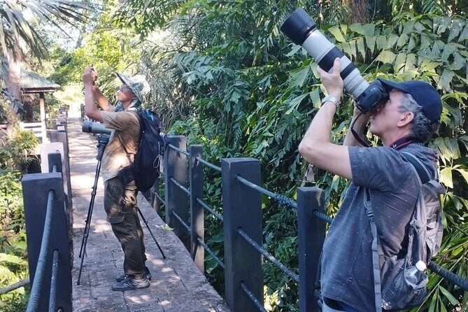 Sedim Rainforest and Canopy Walk - The Practical Side