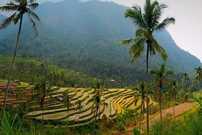 Sekumpul Bali Waterfall Tour - Practical Aspects and Value