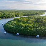 Self Drive BBQ eBoat Cruise with Onboard BBQ Denarau Fiji - Practical Details and Tips