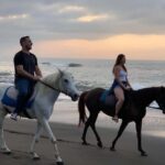 Seminyak: Bali Horse riding Adventure Seminyak Beach - What to Expect from Your Horse Riding Experience