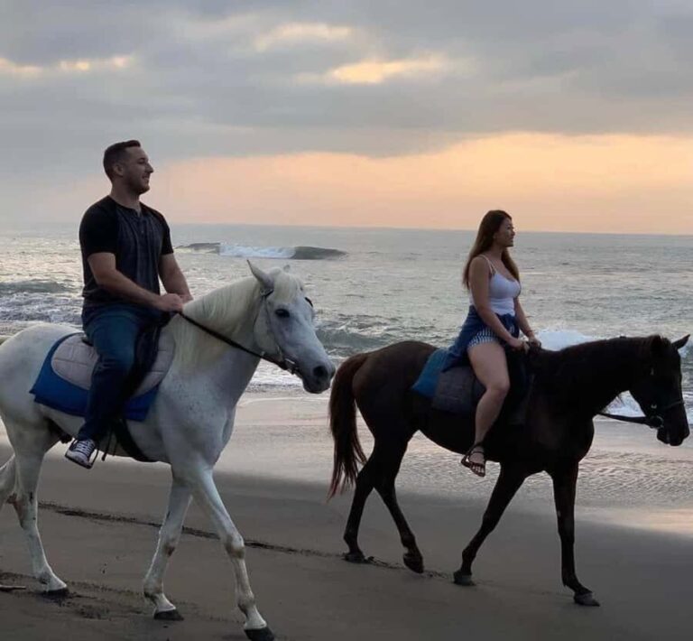 Seminyak: Bali Horse riding Adventure Seminyak Beach - What to Expect from Your Horse Riding Experience