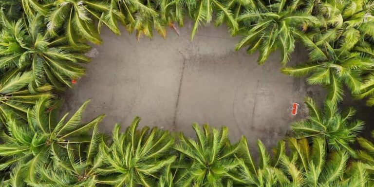 Semporna : Mabul & Kapalai Full-Day Snorkel Tour - Practical Details for Travelers