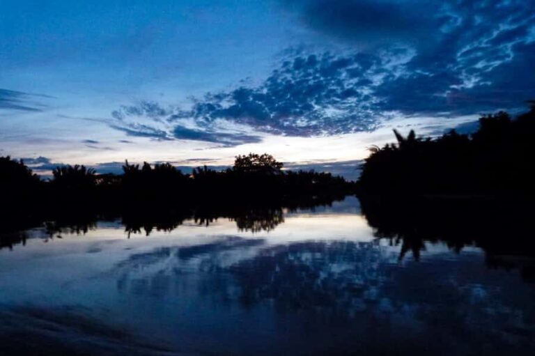 Semporna: Mangrove Cruise, Fireflies, Dinner & Transfer - Scenic Sunset and Wildlife Encounters