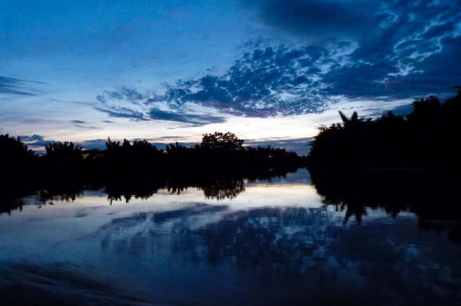 Semporna: Mangrove Cruise, Fireflies, Dinner & Transfer - Scenic Sunset and Wildlife Encounters