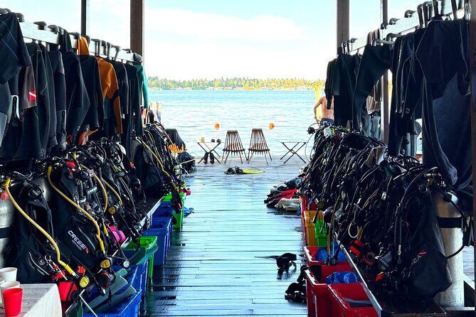 Semporna Night Dive Buwan Reef With Dinner by Boat - Is This Tour Worth It?