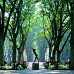 Sendai Private Vehicle Service with Restaurant Reservation - The Itinerary Breakdown: What to Expect