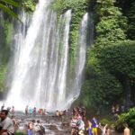 Sendang Gile and Tiu Kelep Waterfall Tour - Private Day Tour - Practical Details and What You Need to Know
