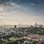 Sense-sational Wuhan (Guided Tour / Private Tour / City Tour) - Final Thoughts