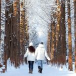 Seoraksan, Eobi Ice Valley & Nami Island Winter Tour from Seoul - Nami Island: The Winter Fairy Tale