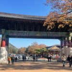 Seoraksan mt, Sokcho City, East DMZ Guided Tour - Savoring Sokcho City and Its Market