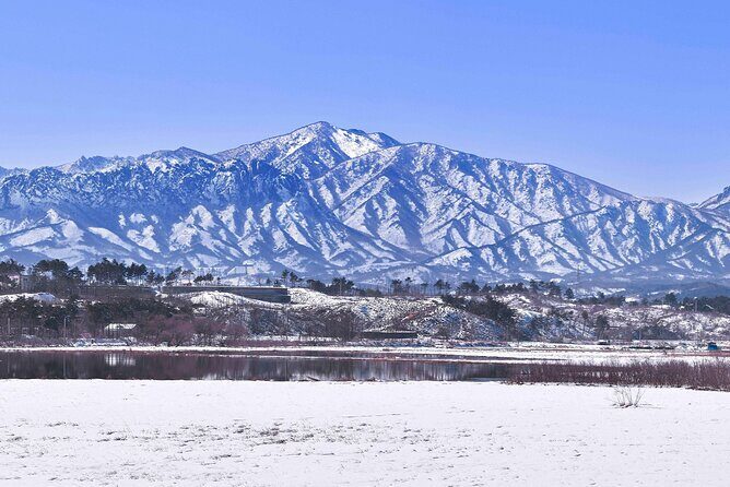 Seoraksan National Park & Nami Island - What Travelers Say