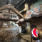 Seoul: 38th Parallel  Private DMZ & Modern Korea History - Who Would Benefit Most?