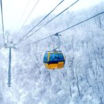 Seoul: Balwangsan Cable Car & Samyang Ranch One Day Tour - What Makes This Tour Stand Out?