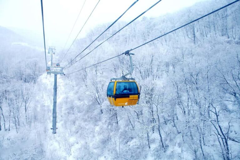 Seoul: Balwangsan Cable Car & Samyang Ranch One Day Tour - What Makes This Tour Stand Out?