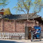 Seoul Bukchon Heritage Tour with Pedicab and Workshop - Final Thoughts