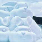 Seoul: Cheongyang Ice Festival & Winter Activities - Analyzing the Value
