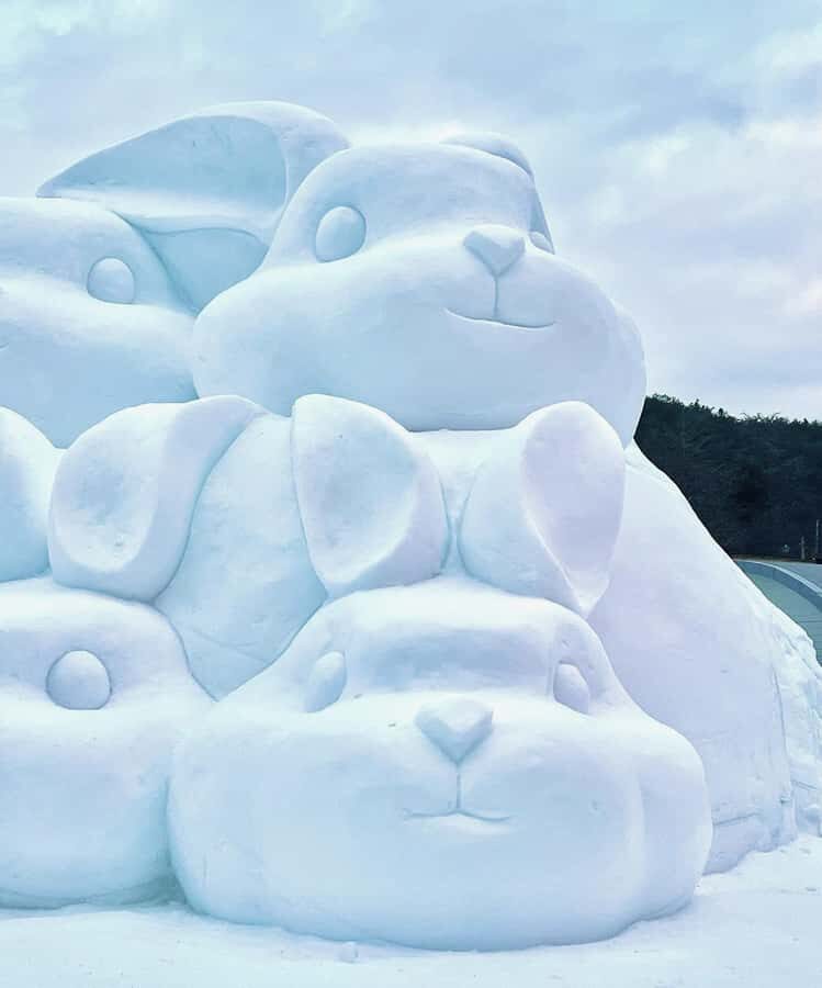 Seoul: Cheongyang Ice Festival & Winter Activities - Analyzing the Value