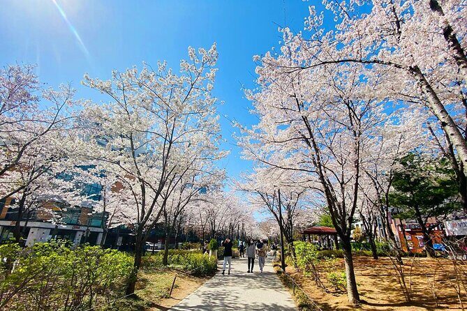 Seoul Cherry Blossom Walking Tour to Gyeongui Line Park - What the Reviews Say (Based on the Data)