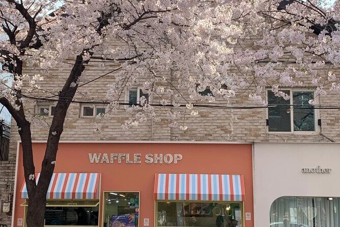 Seoul City Cherry Blossom Private Sightseeing Tour - Final Thoughts: Is It Worth It?