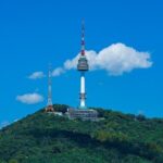 Seoul City Pass Classic Top Attractions Palaces and River Cruise - In-Depth Look at the Attractions