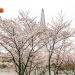 Seoul City Tour - Free Photo Service - An In-Depth Look at the Seoul City Tour