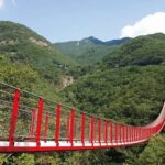 Seoul: DMZ Private Tour, 3rd Tunnel, and Suspension Bridge - Why This Tour Offers Great Value