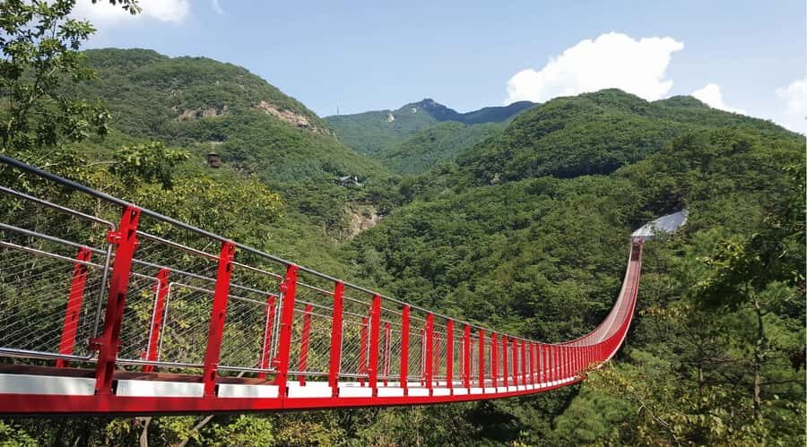 Seoul: DMZ Private Tour, 3rd Tunnel, and Suspension Bridge - Why This Tour Offers Great Value