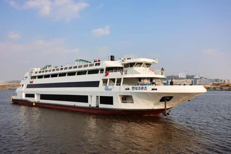 Seoul Hangang River: Music Fireworks Cruise - Who Will Love This Experience?