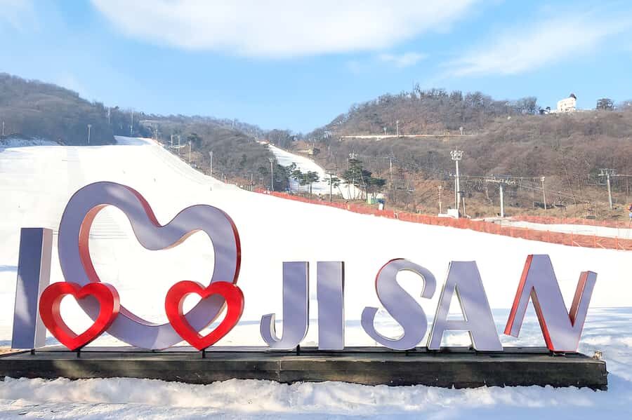 Seoul: Jisan Forest Ski Resort and Everland 1 Day Tour