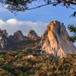 Seoul: Mt. Dobongsan National Park Hiking with Sapaesan - Why This Tour Offers Unique Value