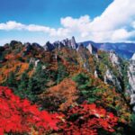 Seoul: Mt.Seorak & Naksan Temple Day Trip from Seoul - Authentic Experiences & Reviewer Insights