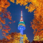 Seoul: N Tower Observatory Ticket - The Bottom Line: Who Is This Tour Best For?