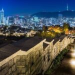 Seoul Nightlife Tour Palace Tour Cheonggyecheon Night View - Who Will Love This Tour?