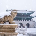 Seoul: Private City Tour with Guide and Photos - The Practicalities: What You Need to Know