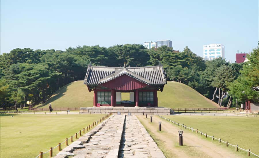 Seoul: Private Guided Tour to Royal Tombs, Temples, and More - Who Will Love This Tour?