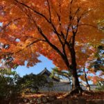 Seoul Private Layover Tour from the Airport with a Local - Why This Tour Provides Excellent Value