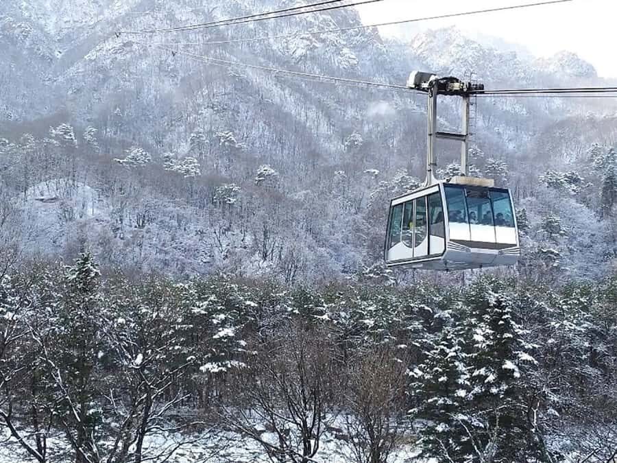Seoul: Seorak Mountain, Nami Island, Eobi Ice Valley Tour - Evaluating the Value
