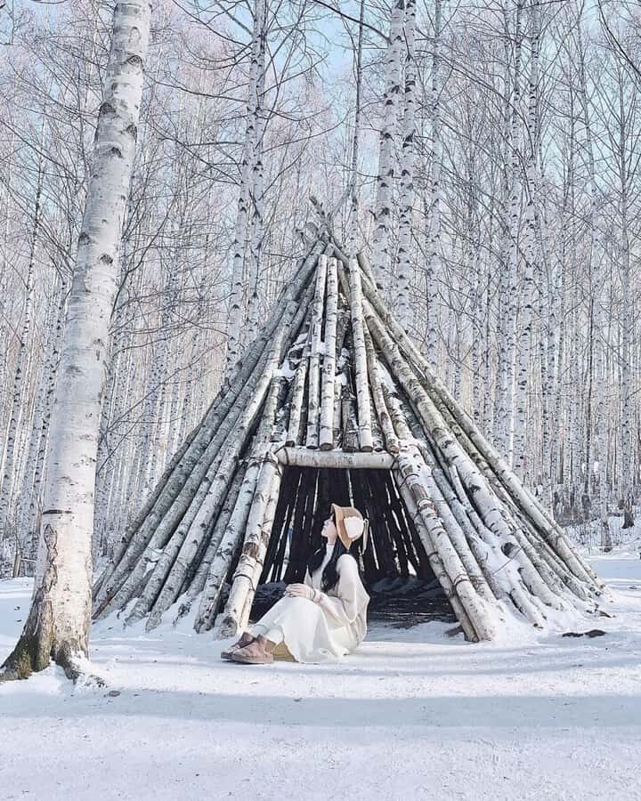 Seoul: Seorak Snowy Birch Forest & Maebawi Icewall Day Tour - Wondae-ri Birch Forest – The Winter Wonderland