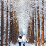 Seoul: Seoraksan National Park & Nami Island - What Sets This Tour Apart?