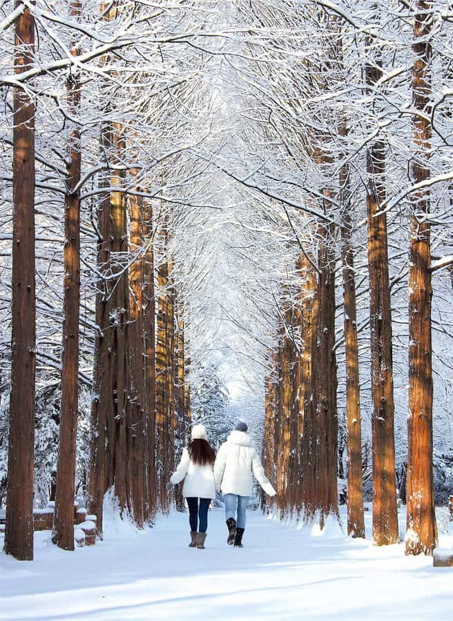 Seoul: Seoraksan National Park & Nami Island - What Sets This Tour Apart?